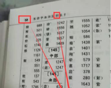 及字在字典里面的页码是多少页