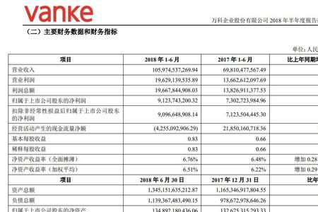 财务收入来源什么意思