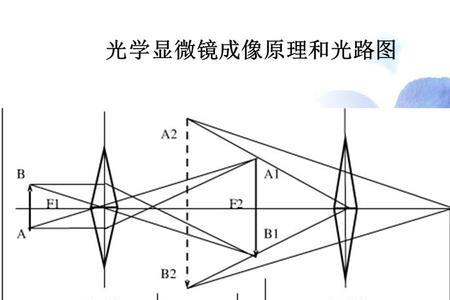 显微镜成像为什么是相反的