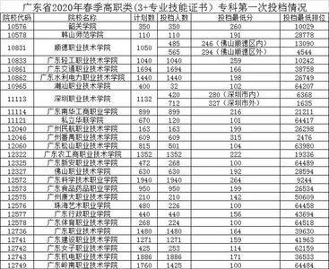 高考模拟投档情况可以查询吗