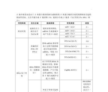 tt突变型什么意思