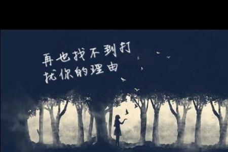 不会再打扰你了什么意思