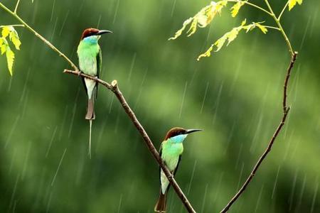 在这风雨中爱着你原唱