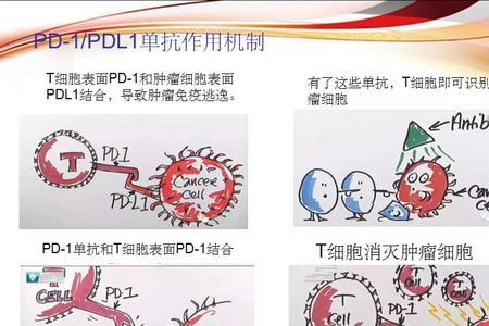 pd点是什么意思