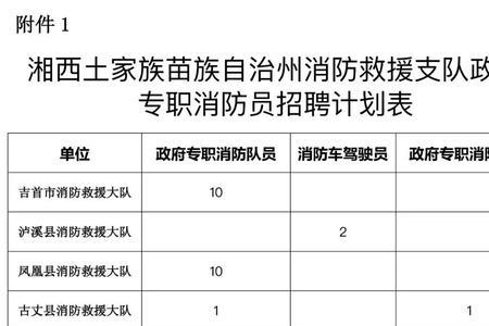 消防员招录报名后多长时间初审