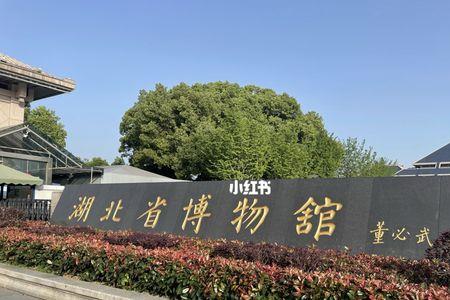 湖北省博物馆附近哪里停车便宜