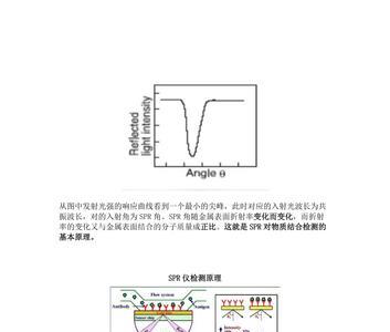 spr系统有什么应用