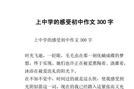 对中学生活的初步感受2个字