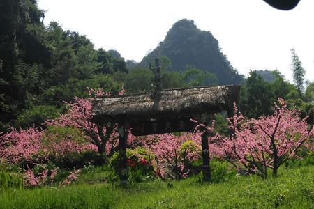 忽逢桃花林中的逢是什么意思