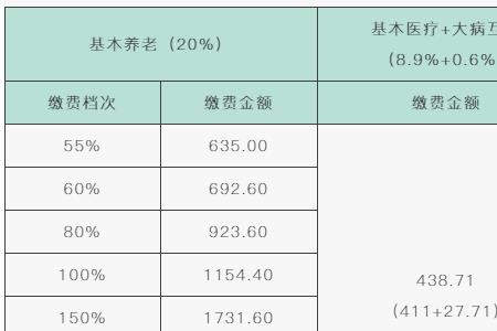 参保金额有什么意思