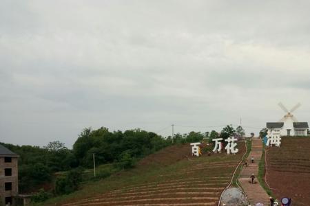 雨母山百万花海什么时候去最好