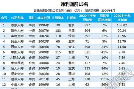 保险公司净利润代表什么