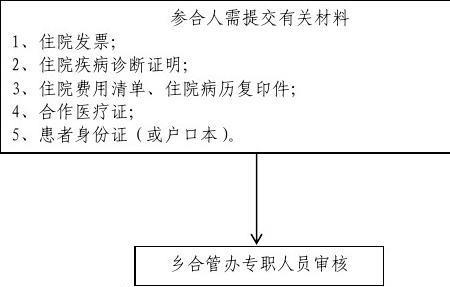 新农合年审如何办理