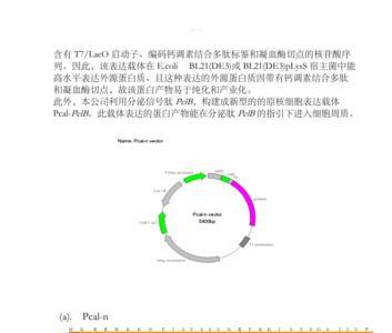 载体本身也是信息吗