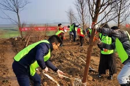 河道内栽树违法吗