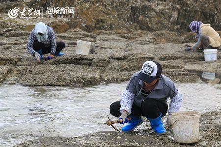 慈溪退潮赶海的最佳时间