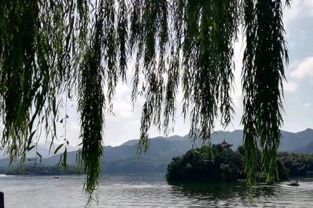 雨中送别知己的文案