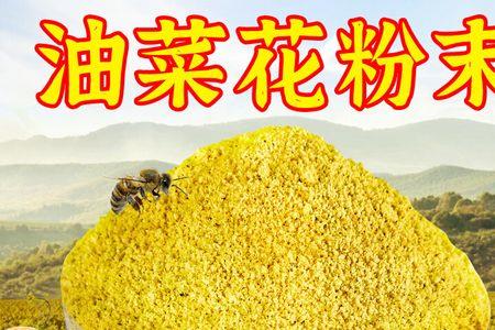 一万斤叉尾鱼每天投喂多少饲料