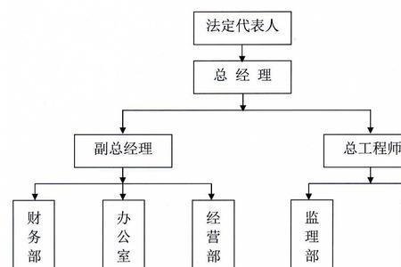 有限责任公司人员结构