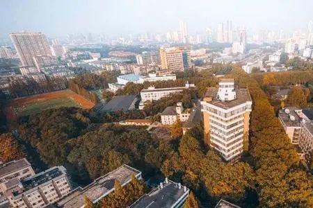 东南大学和南京大学的面积