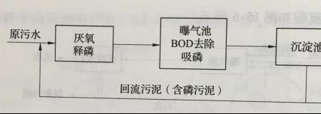 好氧与厌氧的区别