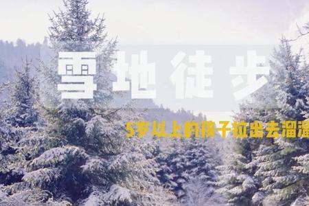 帕拉丁去雪地怎么样