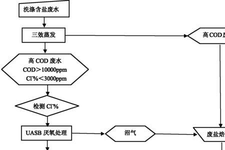 盐素处理是什么意思