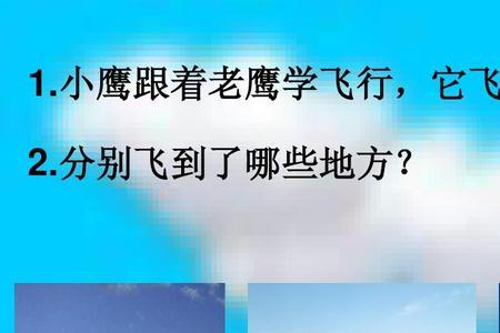 小鹰是什么意思