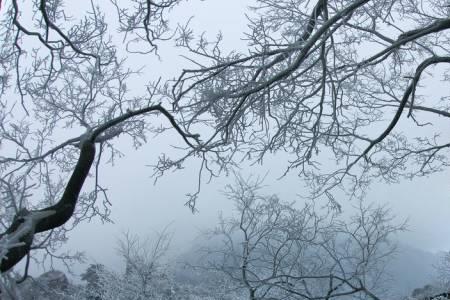 大雪无痕是什么意思