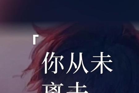 你从未离去歌曲的含义