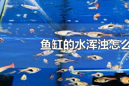 饭店鱼缸水浑浊怎么变清