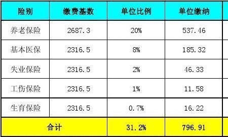 为什么社保比例是24%