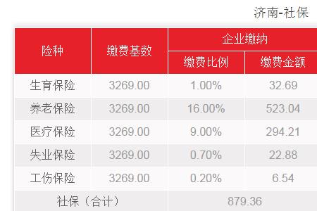 济南儿童社保如何查询缴费记录