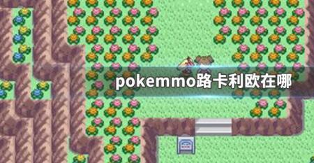 pokemmo隆隆石怎么进化