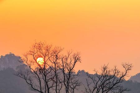 夕阳天边情更浓什么意思