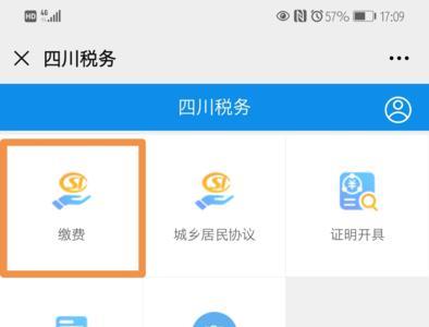 手机四川税务app为什么登不进去