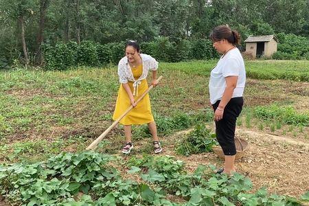 农村地里圆圆的是什么