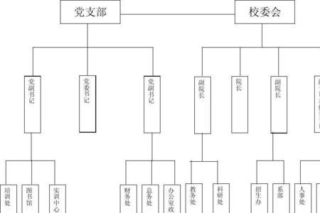 学校组织管理结构的三个层次是