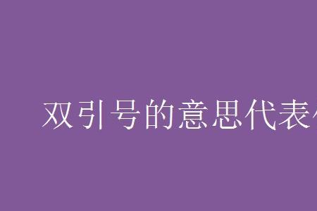 粮食加双引号表示什么