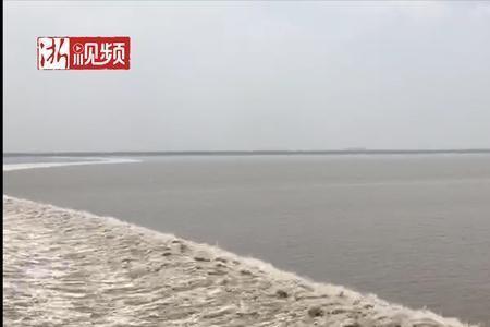 坐海观潮的意思