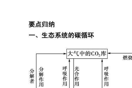 生态系统的物质循环有哪些