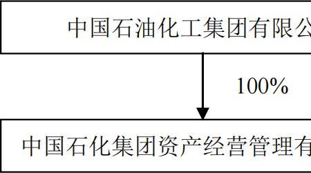 中石化有个人股份吗