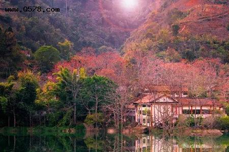 攀枝花到贵州旅游攻略