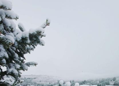 夏天等雪什么意思