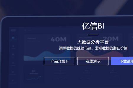 bi行业什么意思