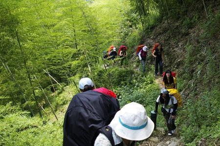 天上下雨大山倾倒打一字是什么