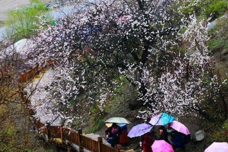 春风细雨入窗扉的意思