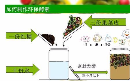 环保酵素能放山楂果吗