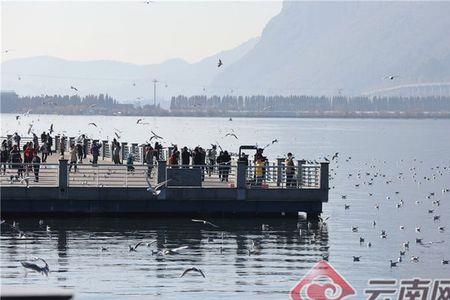 海埂大坝和滇池大坝哪个更好玩