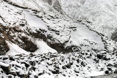 昆仑山上有千年雪莲吗